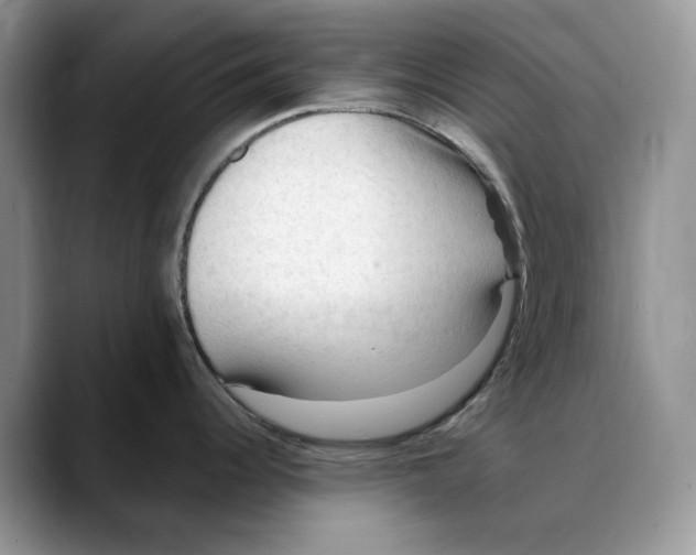 X0000088411344200706121407