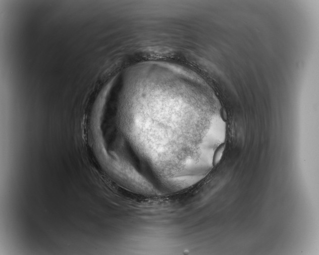 X0000088411346200706121407