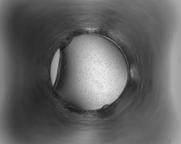 X0000088411347200706121407