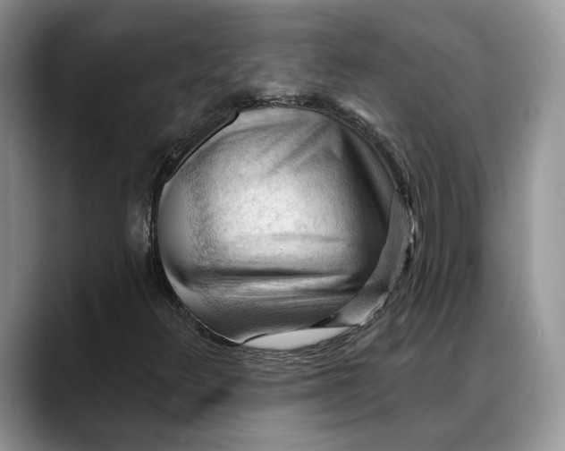 X0000088411348200706121407