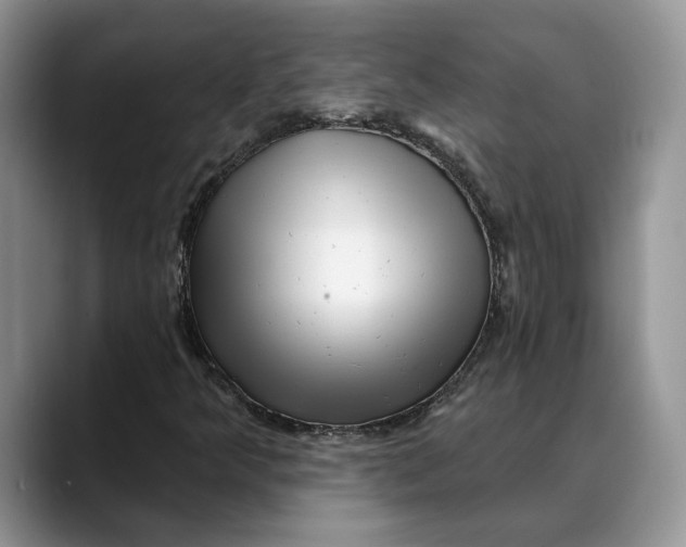 X0000088411349200706121407