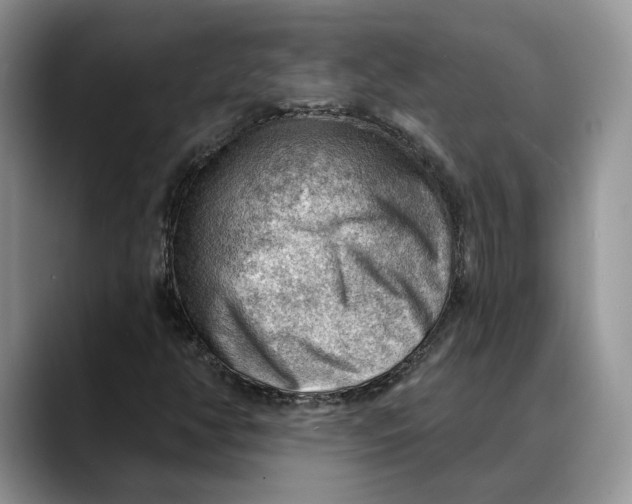 X0000088411350200706121407