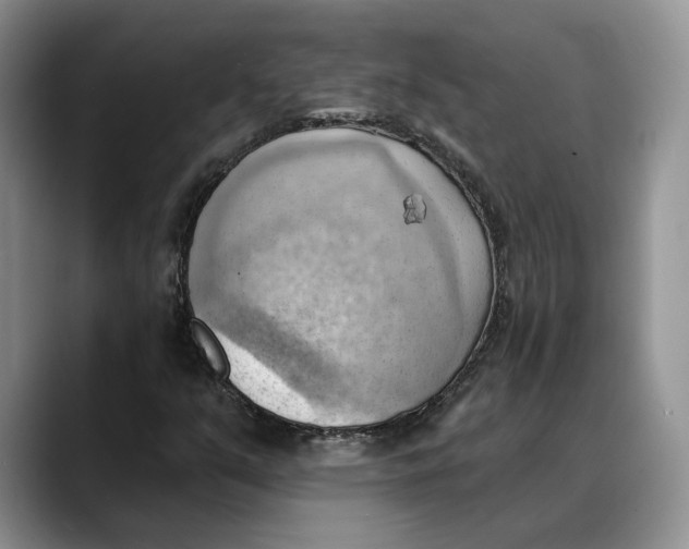 X0000088411351200706121407