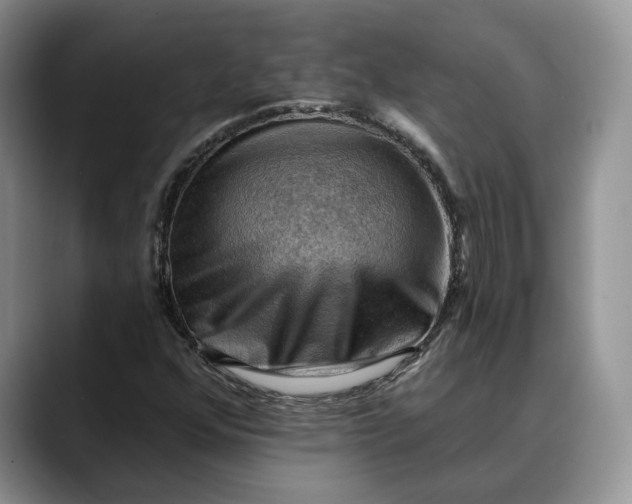 X0000088411352200706121407