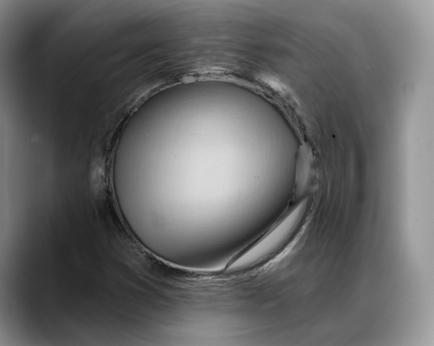 X0000088411353200706121407