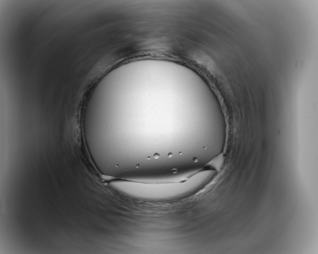 X0000088411354200706121407