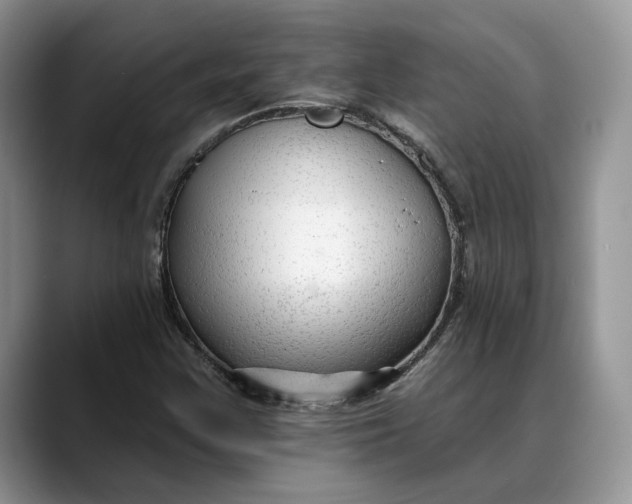 X0000088411355200706121407