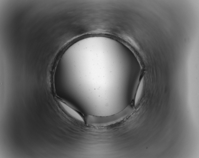 X0000088411356200706121407