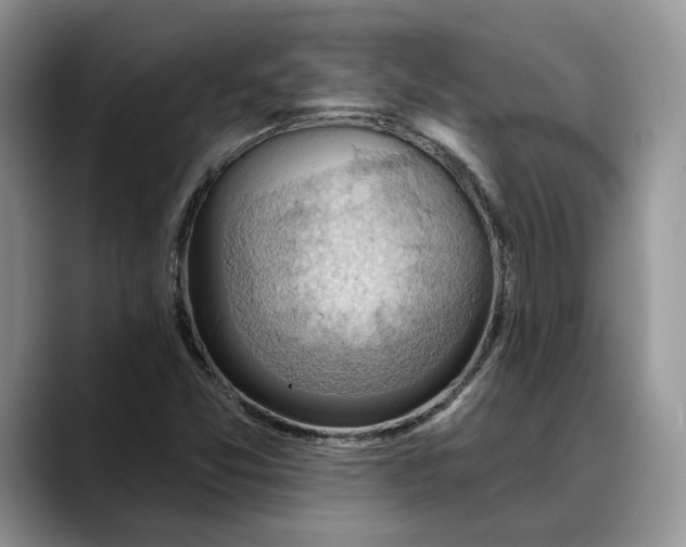 X0000088411357200706121407