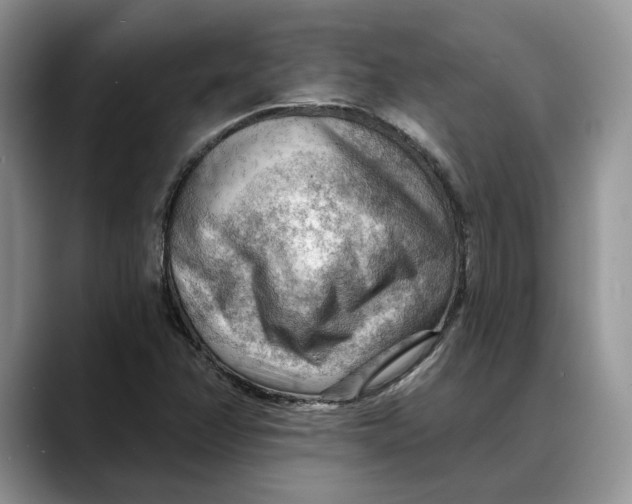 X0000088411358200706121407