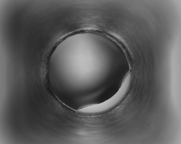 X0000088411359200706121407