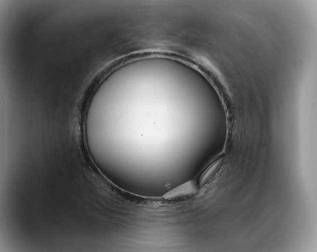 X0000088411360200706121407