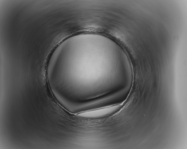 X0000088411362200706121407