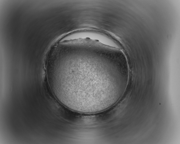 X0000088411363200706121407