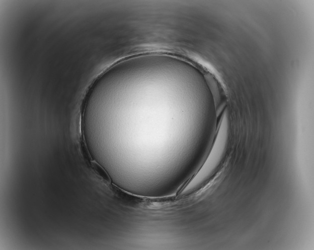 X0000088411365200706121406