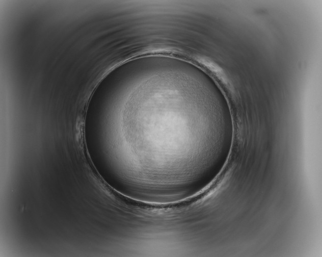 X0000088411369200706121406