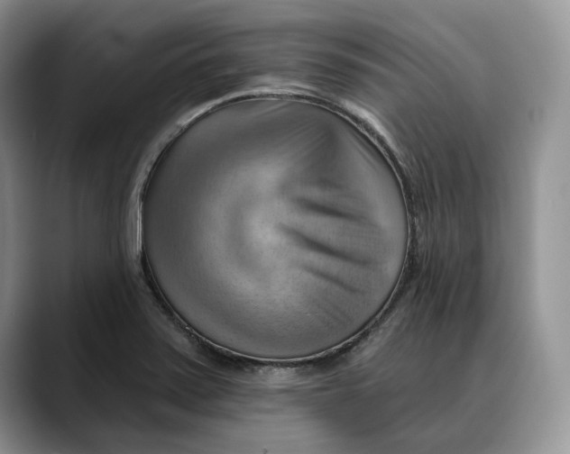 X0000088411371200706121406