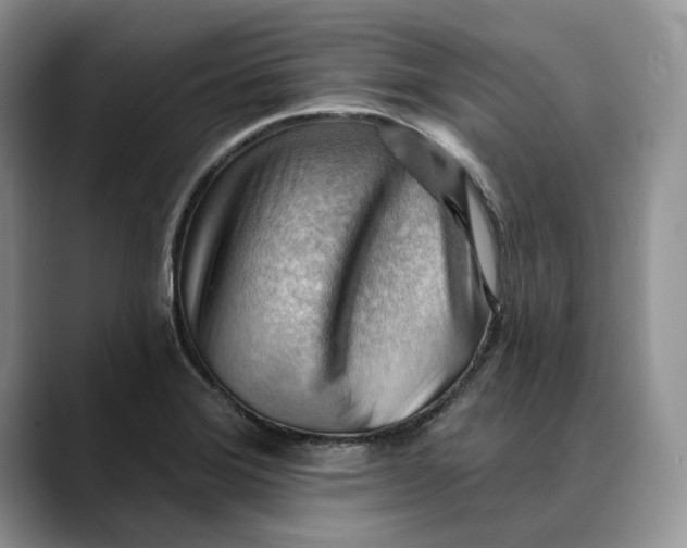 X0000088411372200706121406