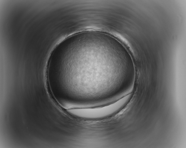 X0000088411373200706121406