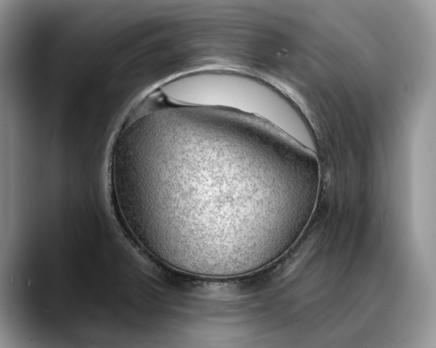 X0000088411375200706121406