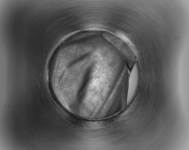 X0000088411376200706121406