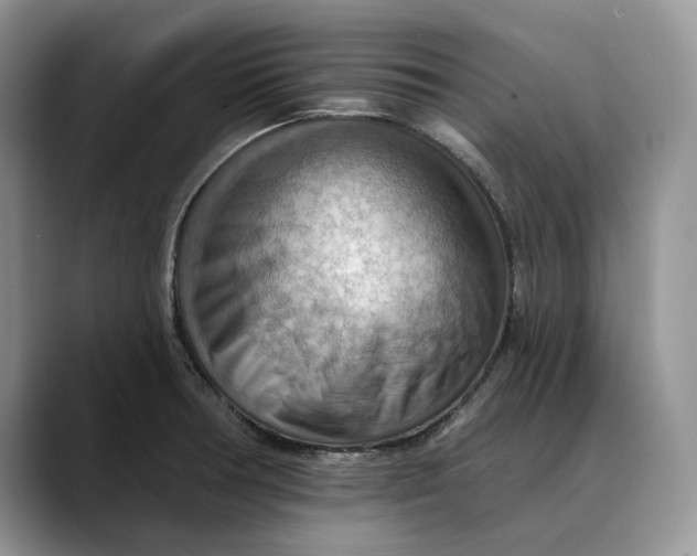 X0000088411378200706121406