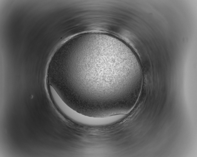 X0000088411379200706121406