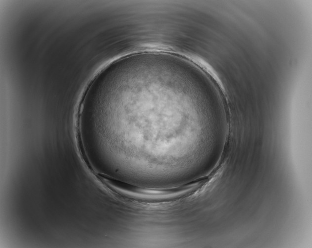 X0000088411381200706121406