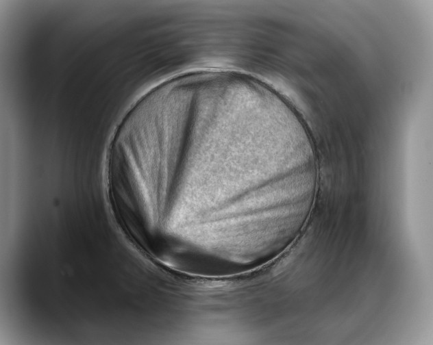 X0000088411382200706121406