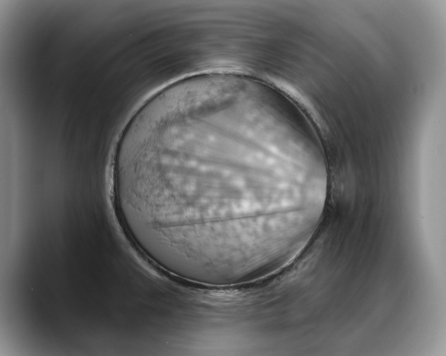 X0000088411383200706121406