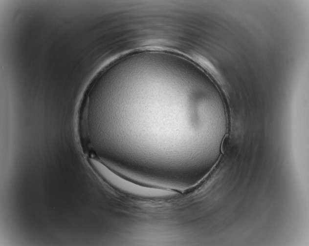 X0000088411384200706121406