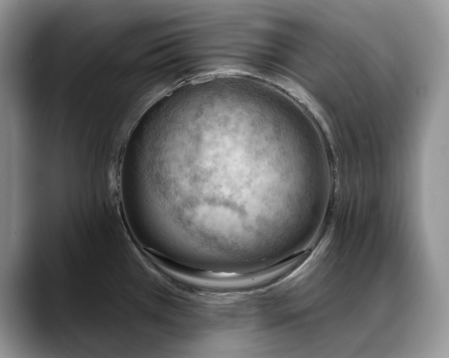 X0000088411385200706121406