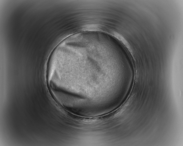 X0000088411386200706121406