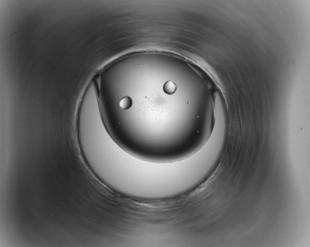 X0000088411388200706121406