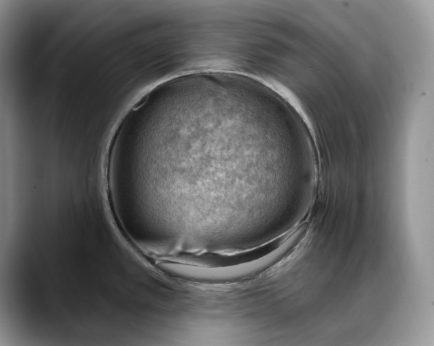 X0000088411389200706121406