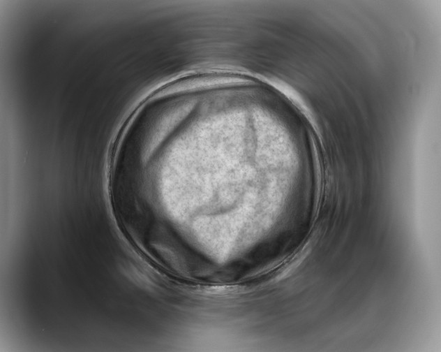 X0000088411390200706121406