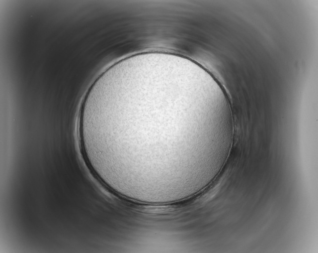 X0000088411391200706121406