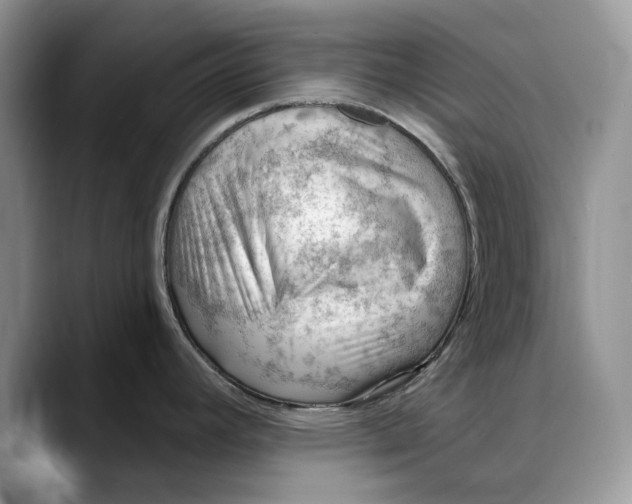 X0000088411392200706121406