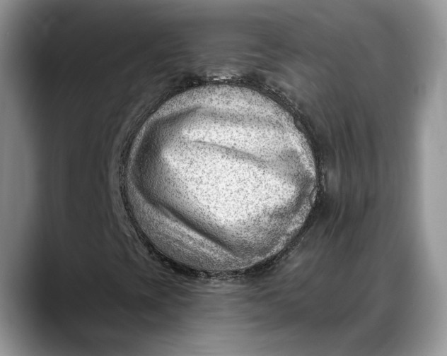 X0000088411393200706121406