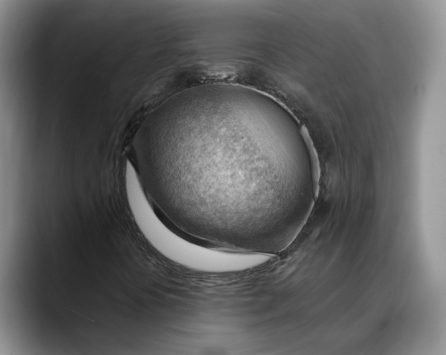 X0000088411394200706121406