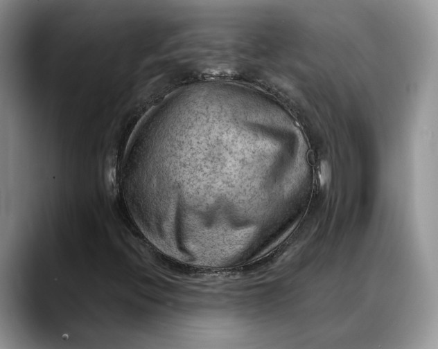 X0000088411396200706121406