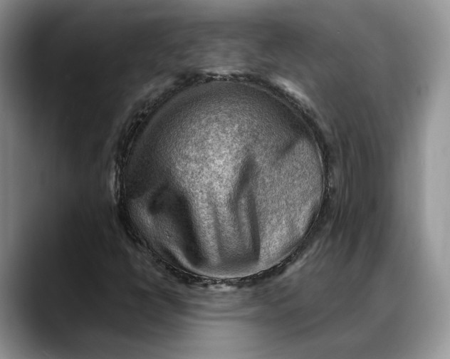 X0000088411398200706121406