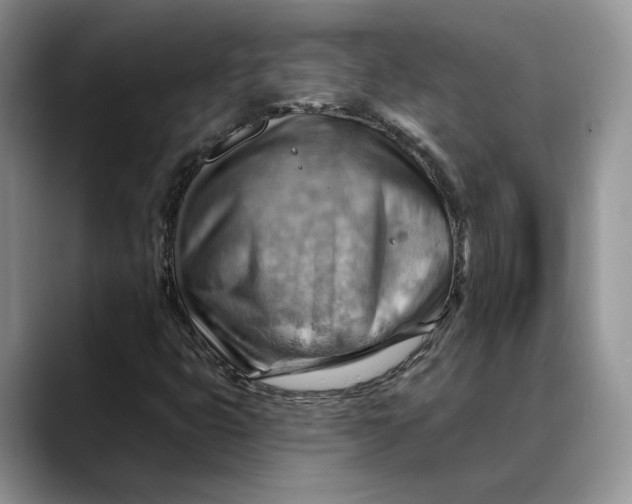 X0000088411399200706121406