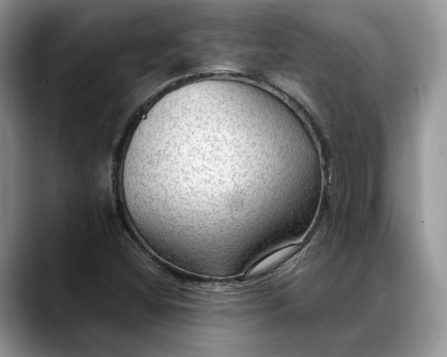 X0000088411404200706121406