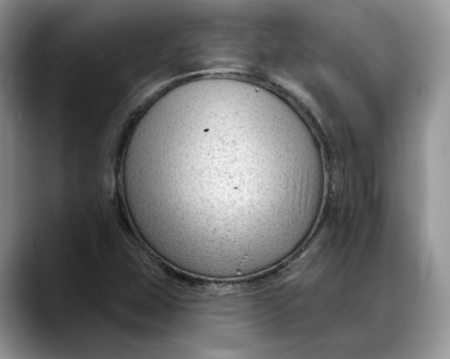 X0000088411407200706121406