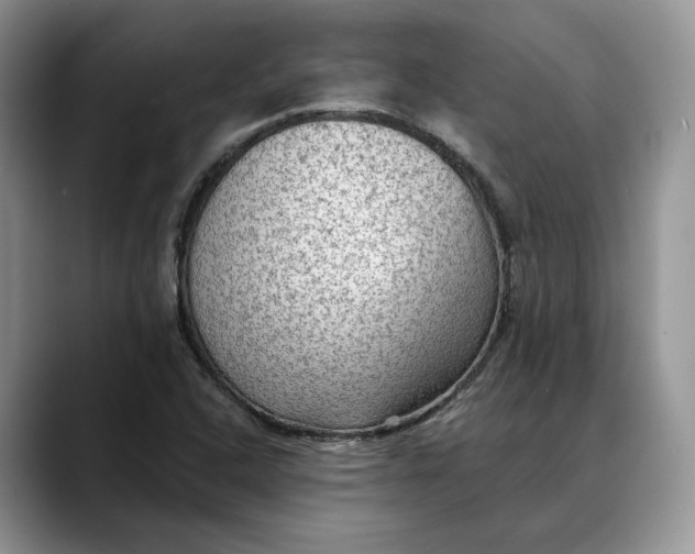 X0000088411408200706121406