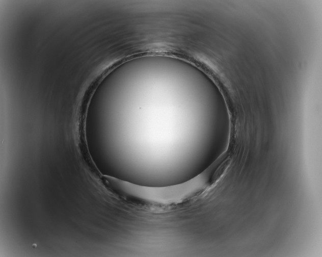 X0000088411410200706121406