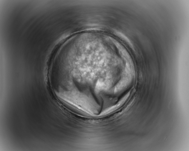 X0000088411411200706121406