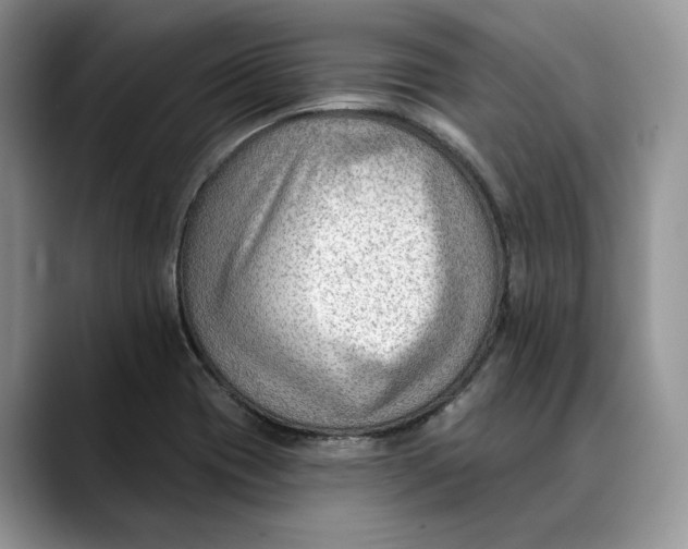 X0000088411417200706121406