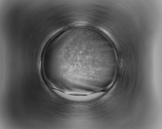 X0000088411418200706121406